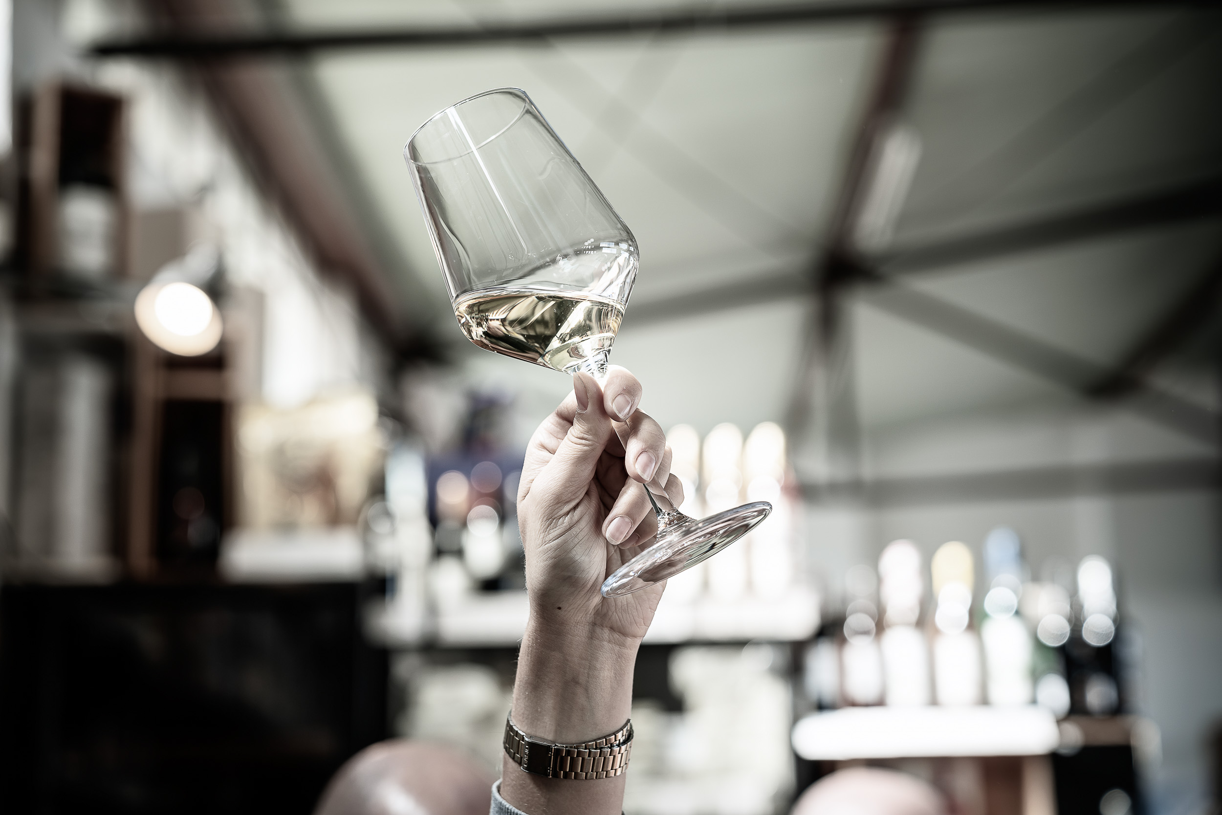 Weinprobe: "Dry January" am 24.01.2026 um 19:00