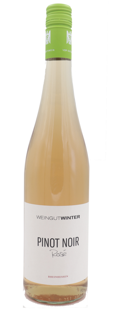 Winter Pinot Noir Rosé QbA trocken 2024 VEGAN