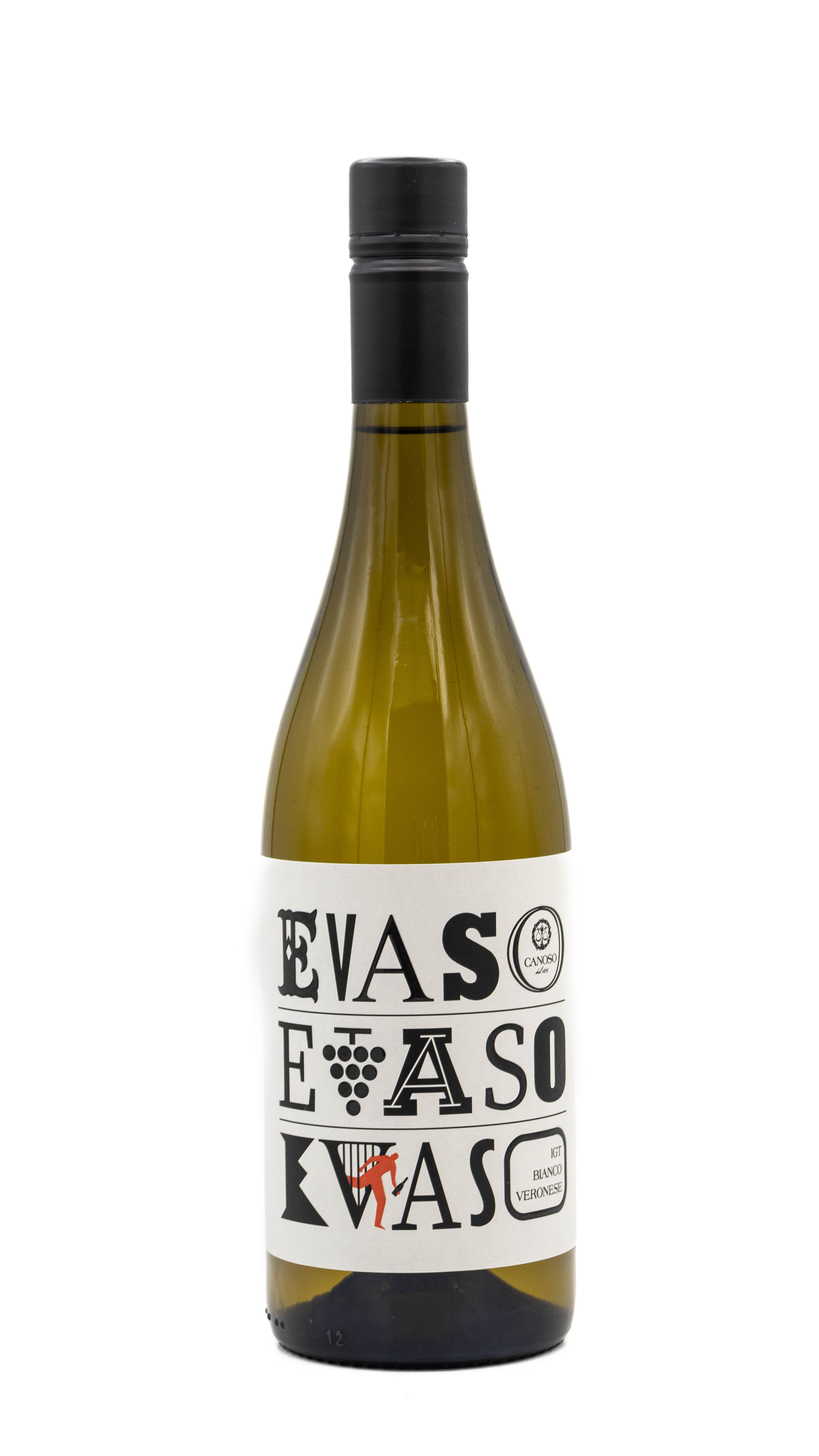 Canoso Evaso bianco 2024