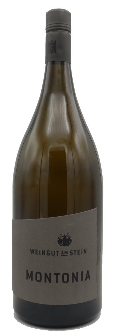 Weingut am Stein, Weißburgunder MONTONIA 2019 - BIO MAGNUM